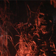 Image for article titled Sleepy Hollow's haunted-house episode traps us in a maze of plot twists
